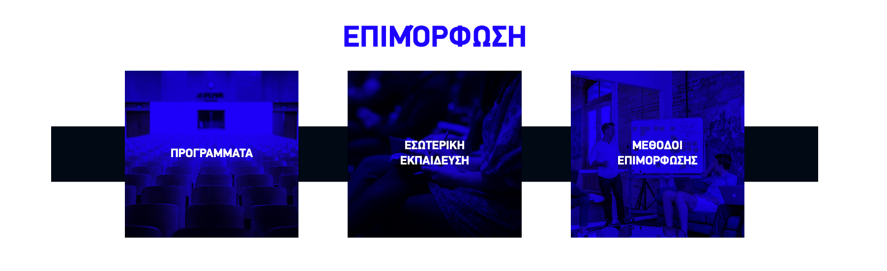 Epimorfosi Grid Frontend